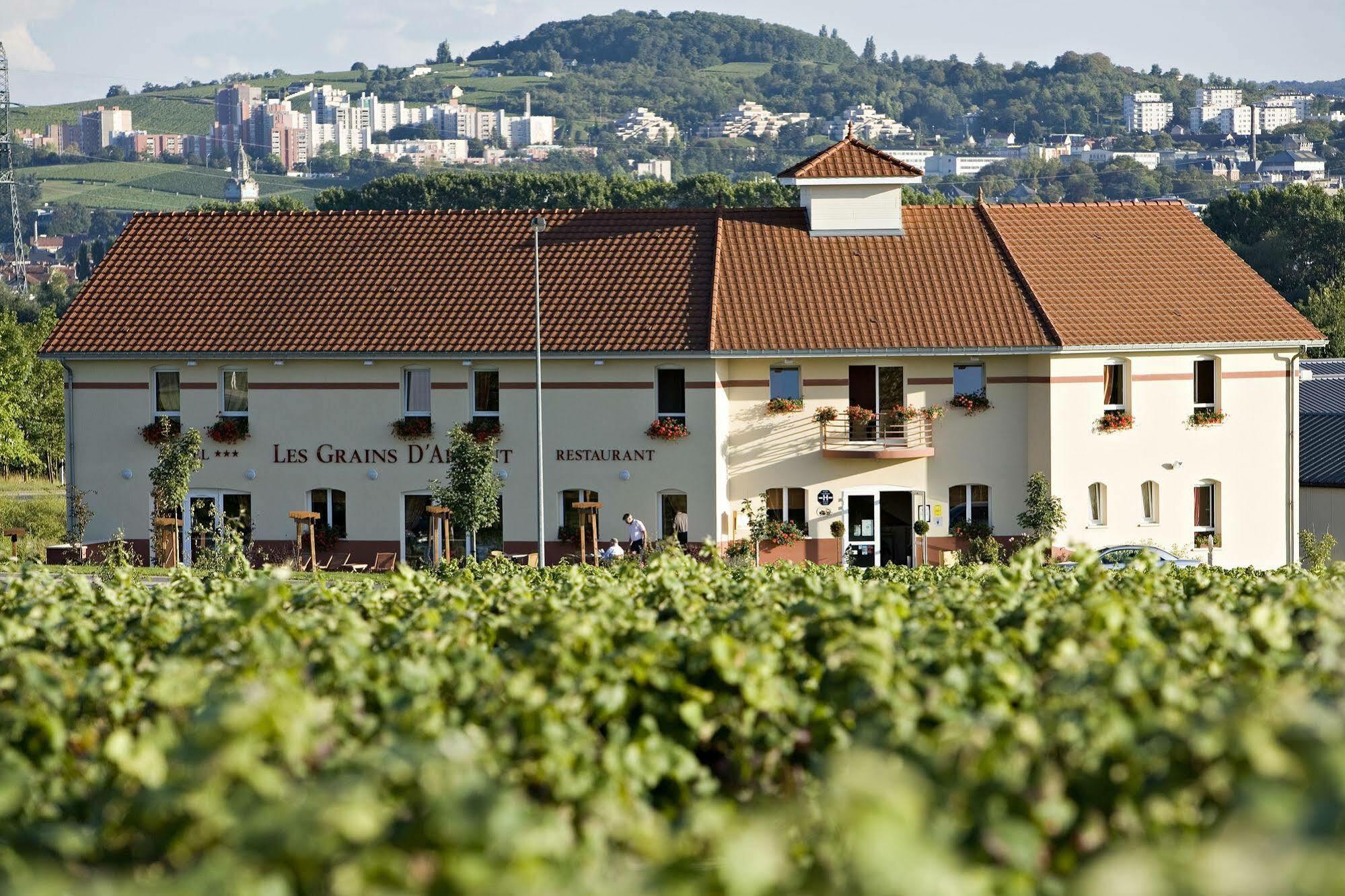 Les Grains D'Argent Dizy - Epernay Hotel Exterior foto